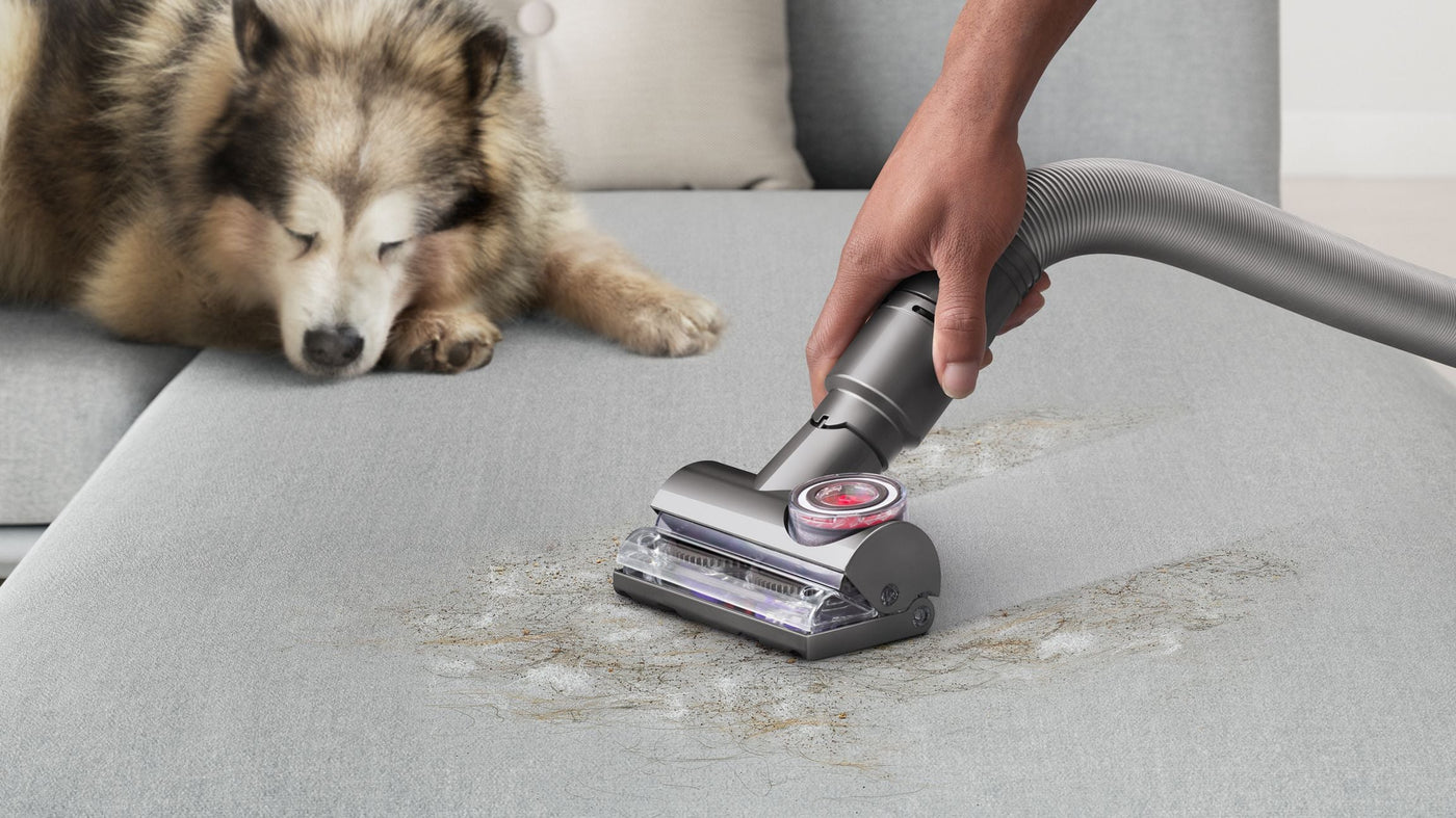 Dyson Ball Animal 3 De-Tangling Vacuum For Homes with Pets