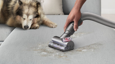 Dyson Ball Animal 3 De-Tangling Vacuum For Homes with Pets